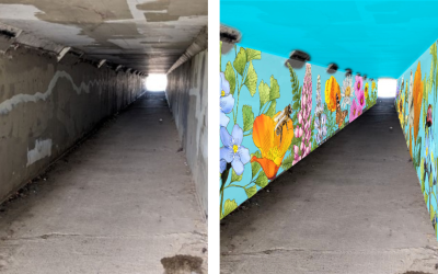 South Sacramento Parks & Revitalization Project – Survey