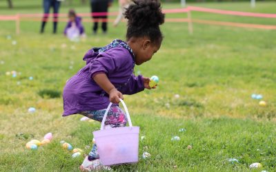 Pancakes, Eggs & Fun Await!